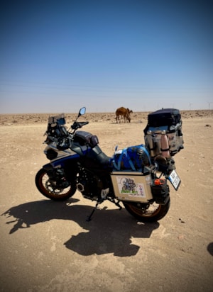 Hemingway a tavy.JPG