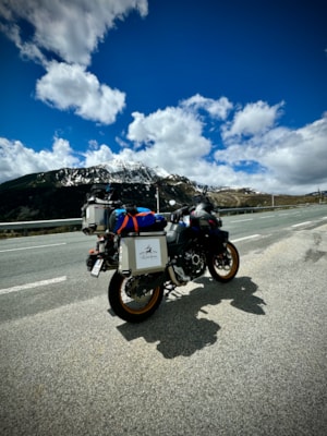 Pyreneje