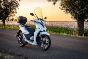 mareksaroch.cz-40459