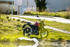 19-DSC09794