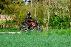 45-DSC09904