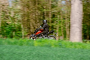 46-DSC09908