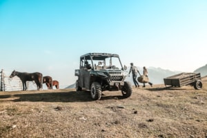R5II8725