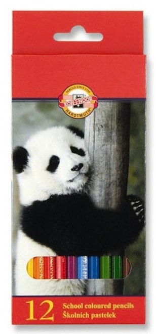Obrázek