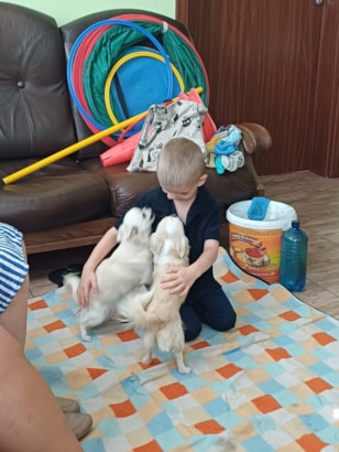 Můj pes má problém s jinými psy. Zvládne i takový pes zkoušky a může dělat canisterapii?