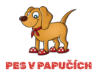 MVDr. Alena Kousalová - Pes v papučích
