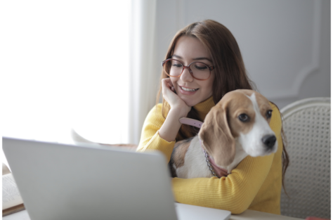 Akademie pro psí instruktory online 2027/2028
