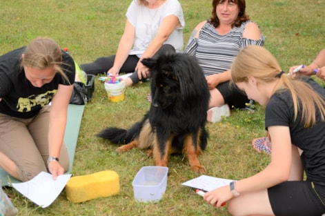 Klubový canisterapeutický tábor pro začátečníky v Kyjově - Boršově