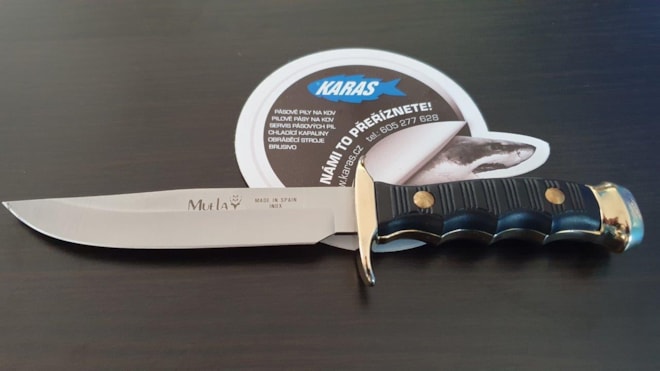 Victorinox Scout