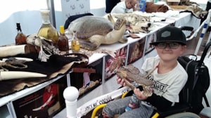 2-received_273157000207648