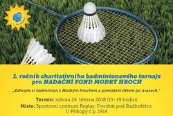 web_badminton