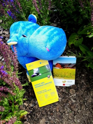 107593487_2164011767057395_4124028955345144943_n