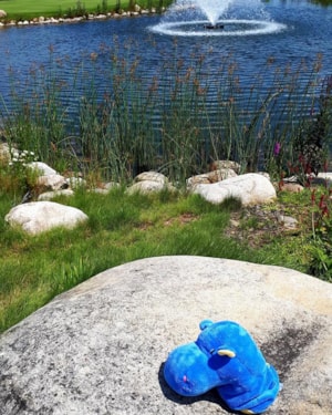 114348973_2197937260331512_390995674600381713_n