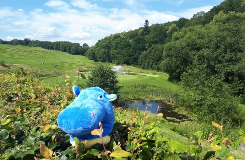 GOLF OPEN SERIES - BIRDIE PRO MODRÉHO HROCHA