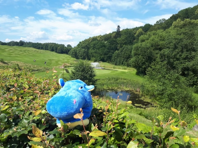 GOLF OPEN SERIES - BIRDIE PRO MODRÉHO HROCHA