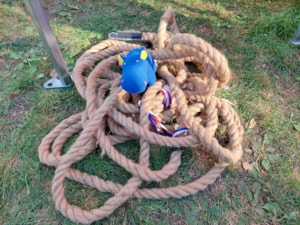 DL hrošík v lanech