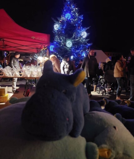 Slavnostní rozsvícení stromečku v Moravanech v neděli 27. listopadu 2022