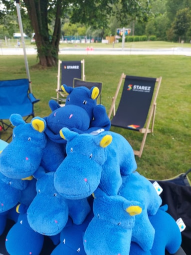 Sportovní Park Riviéra zahájil sezónu 10. června 2023