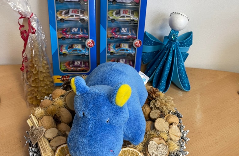 Strom splněných přání na hotelu Jiřinka