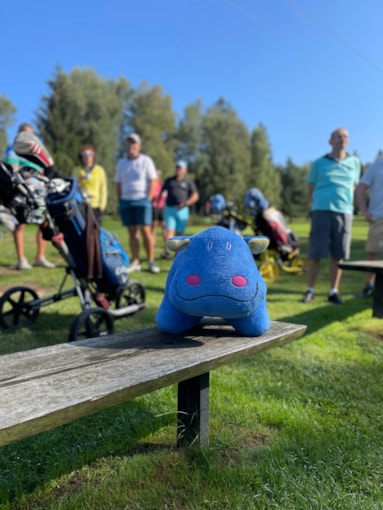 Charitativní  golfový turnaj Modrého hrocha na Svratce