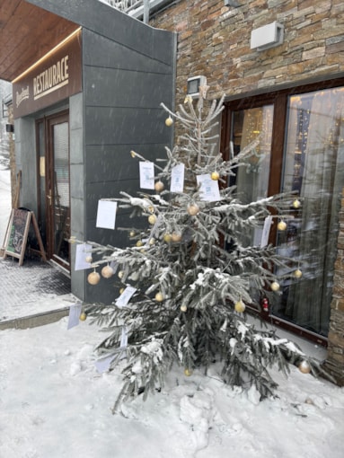 Strom přání Hotelu Jiřinka 