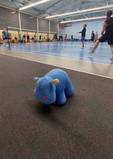 Badmintonový turnaj pro Modrého hrocha