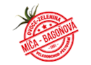 Mica-Bagonova