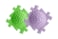coast_lime_lilac_front