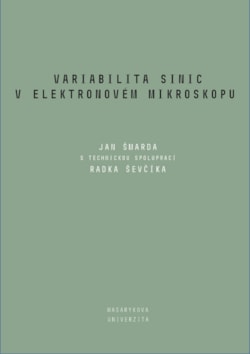 Variabilita sinic v elektronovém mikroskopu