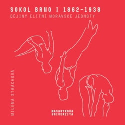 Sokol Brno I 1862–1938 - damaged