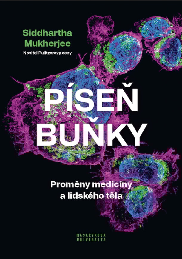 280-0713_Pisen bunky
