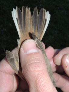 Kopie - DSCN0007_800