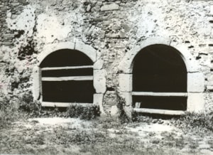 F 13 919