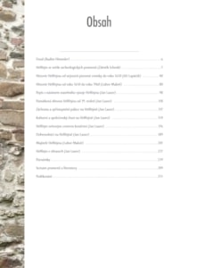 obsah monografie