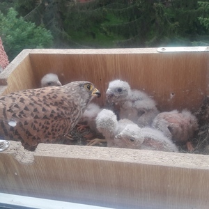 20200604_155449_1024