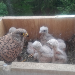 20200604_155510_1024