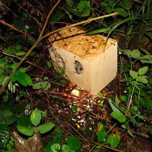 vypouštění plchů_01_1024