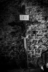 IMG_8663