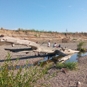 Pohled na biotop s hnízdními stěnami a štěrkovými náplavy