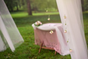 Foto Kopretina  (17)