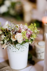 Foto Kopretina  (18)