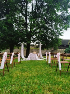 Foto Kopretina  (33)