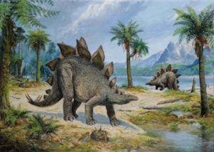 Stegosaurus