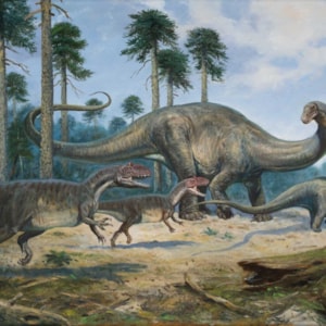 brontosaurus_excelsus_a_allosaurus_fragilis_-_50_x_70_cm