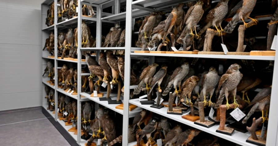 Fotogalerie stavby leden - srpen 2022