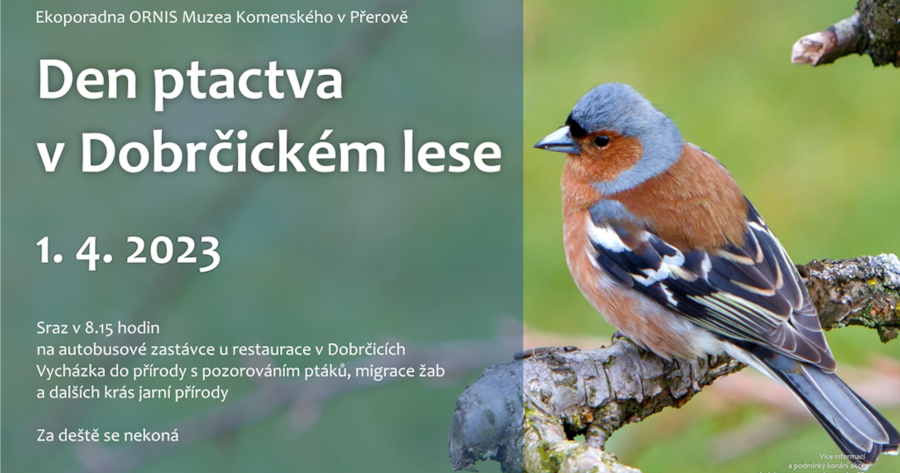 Den ptactva v Dobrčickém lese