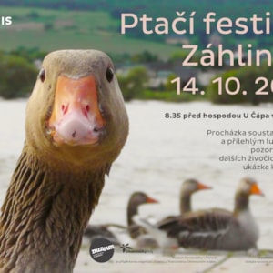 Ptaci_festival2023_10_Zahlinice_ORNIS_4960