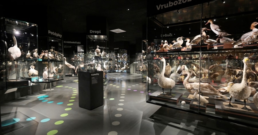 Nová expozice Ptáci Česka