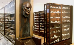 Expozice mineralogie 