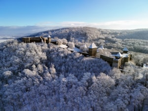 DJI_20250103095807_0008.JPG